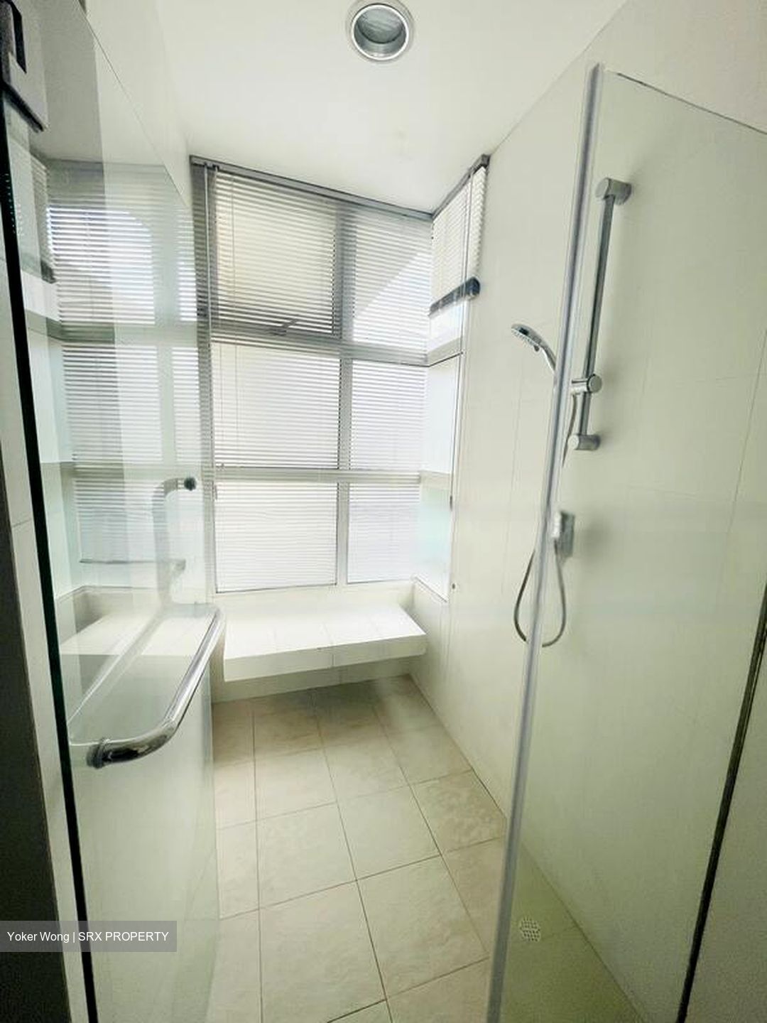 Holland Mansion (D10), Condominium #468529331